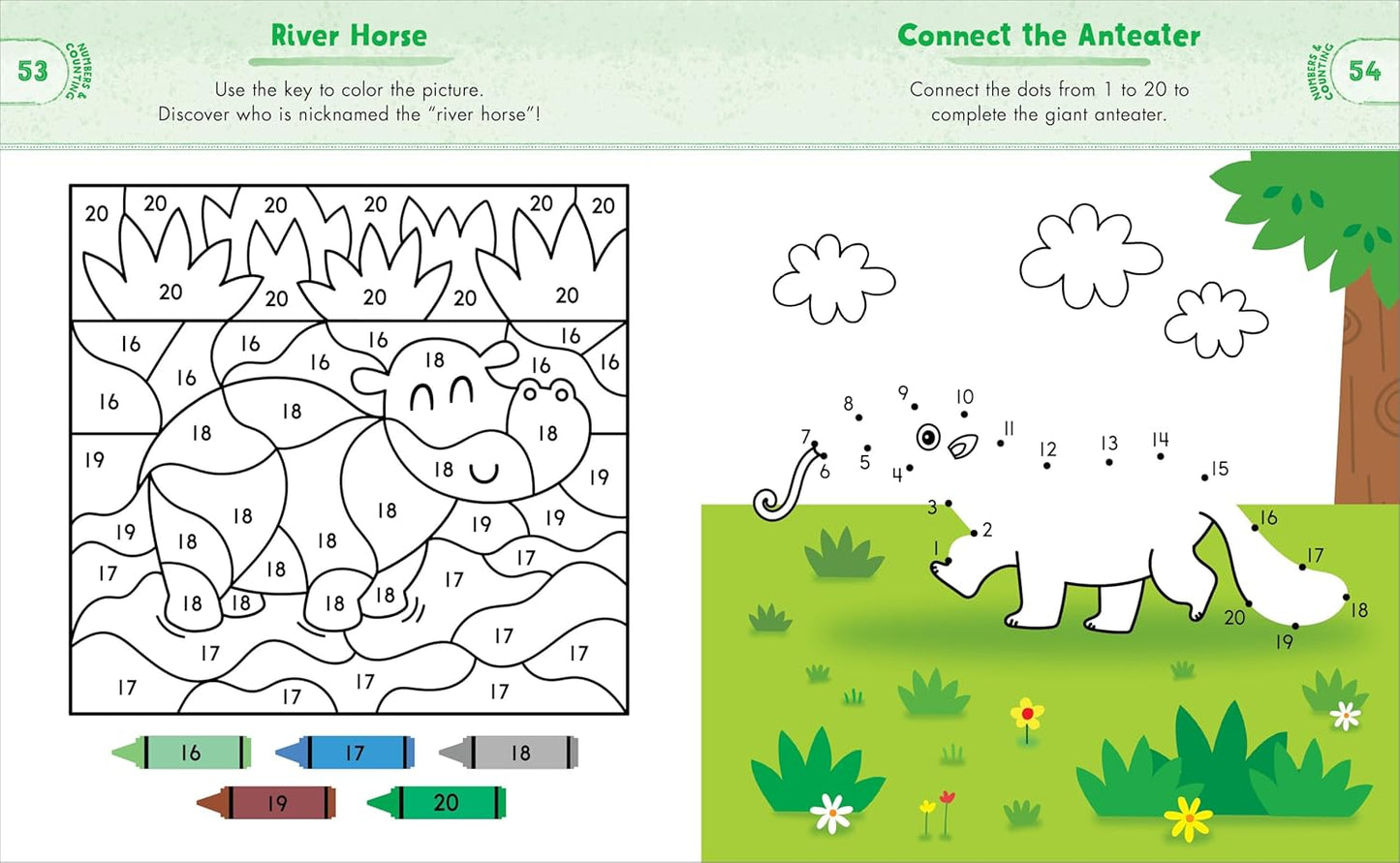 Kindergarten Activity Book: Zoo Animals