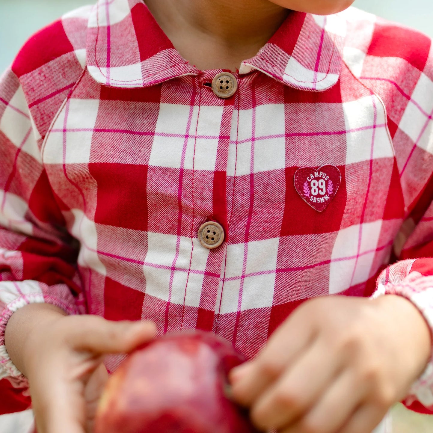 Red & Cream Plaid Dress in Flannel