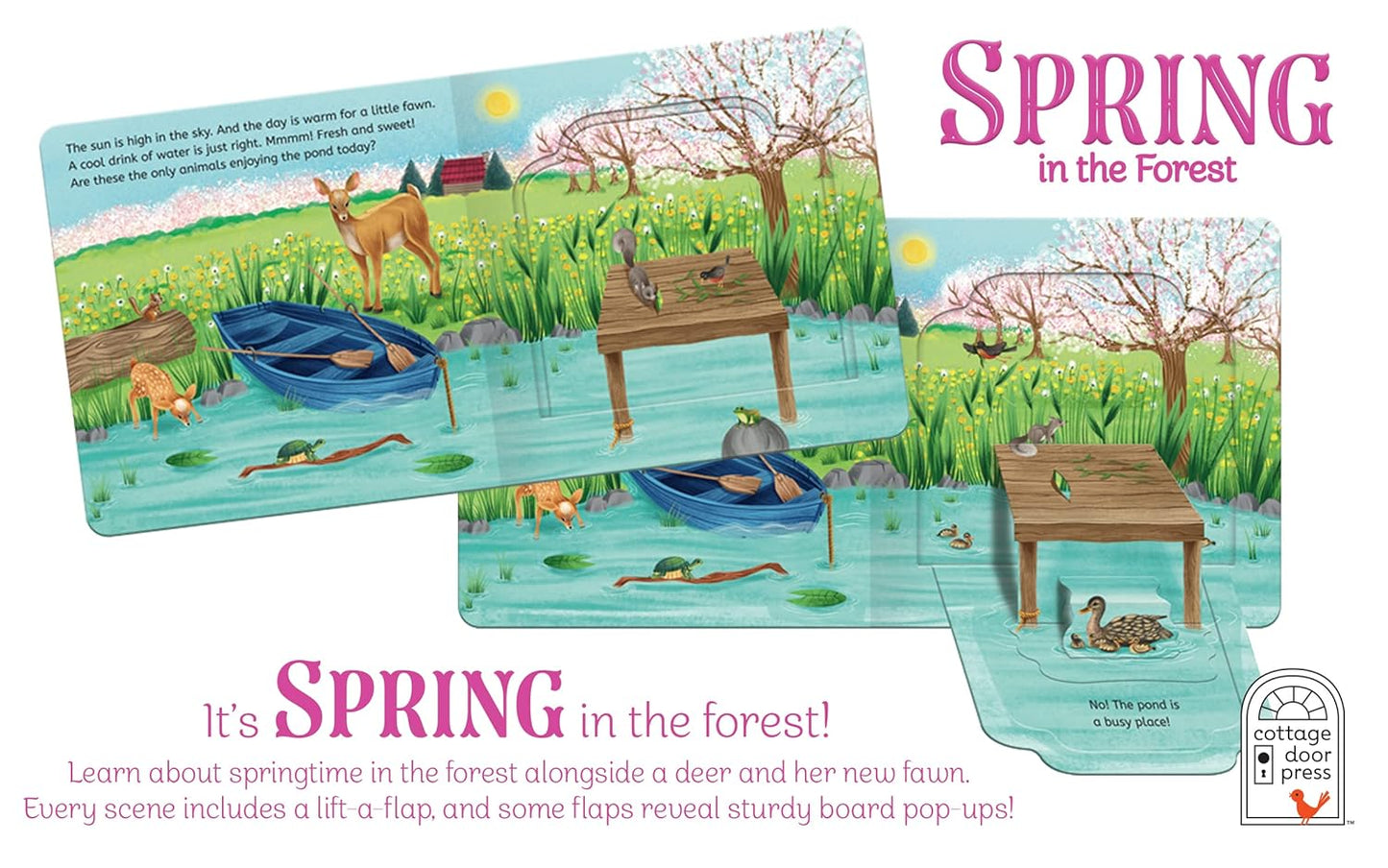 Pop-Up Surprise Spring in the Forest