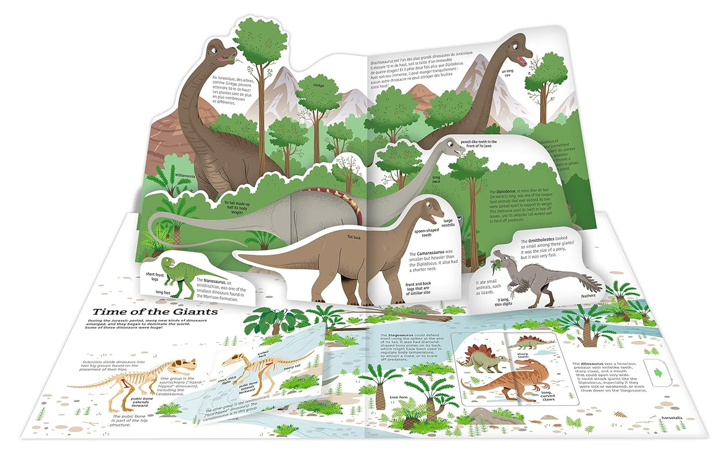 The Ultimate Book of Dinosaurs and Other Prehistoric Creatures