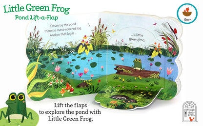 Little Green Frog - Flap Book-