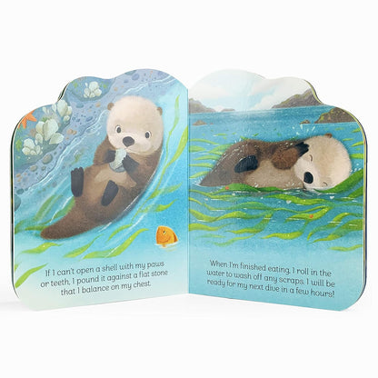 A Little Otter