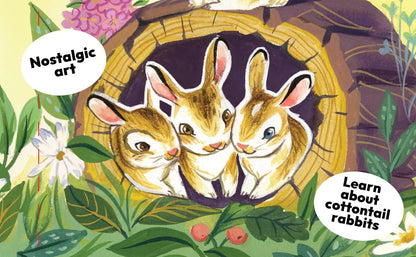 A Little Bunny