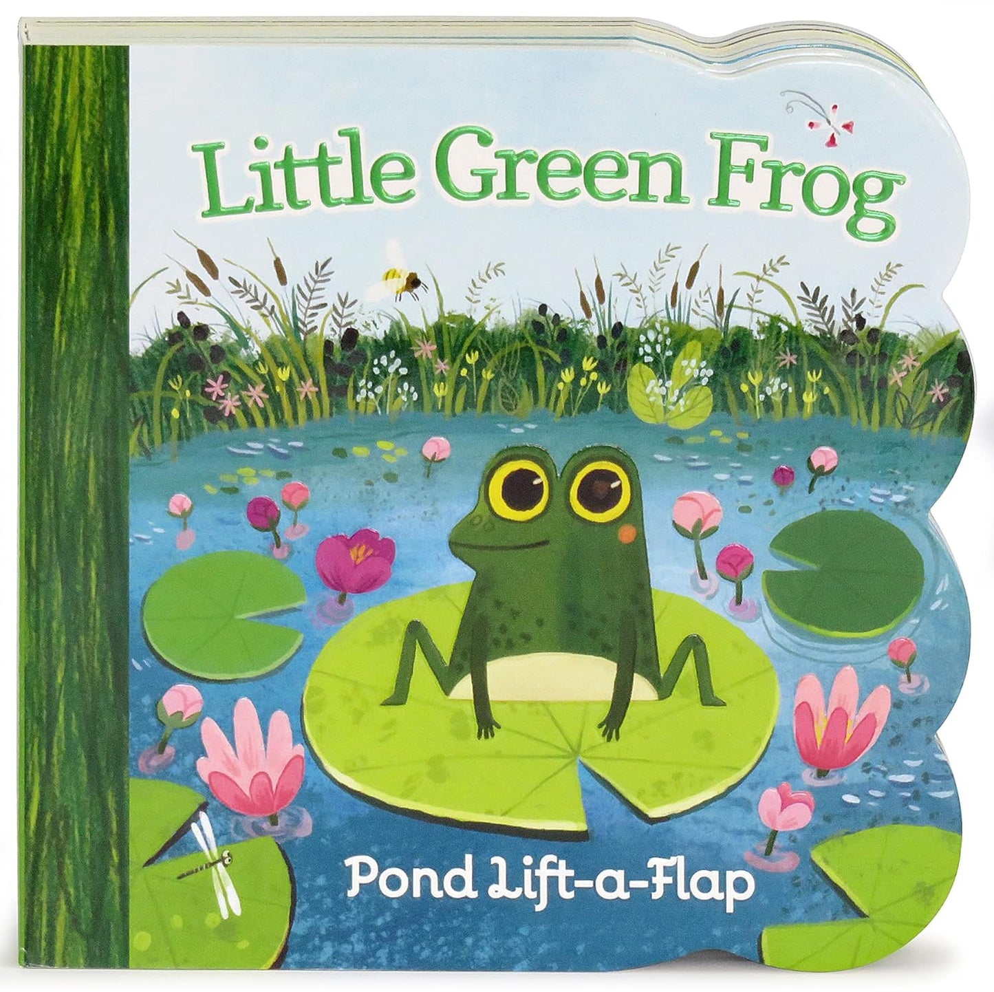 Little Green Frog - Flap Book-