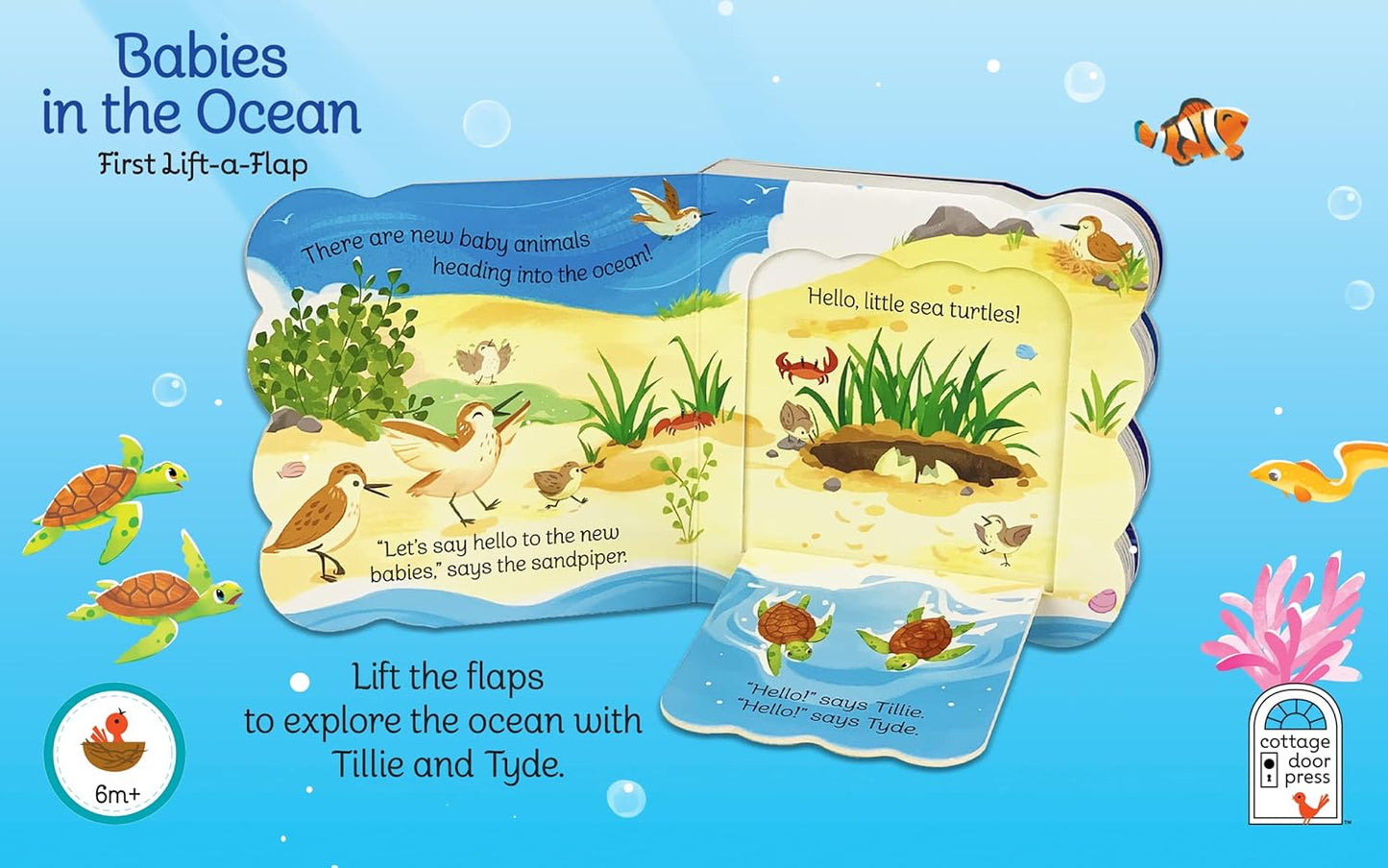 Babies in the Ocean - Flap Book-