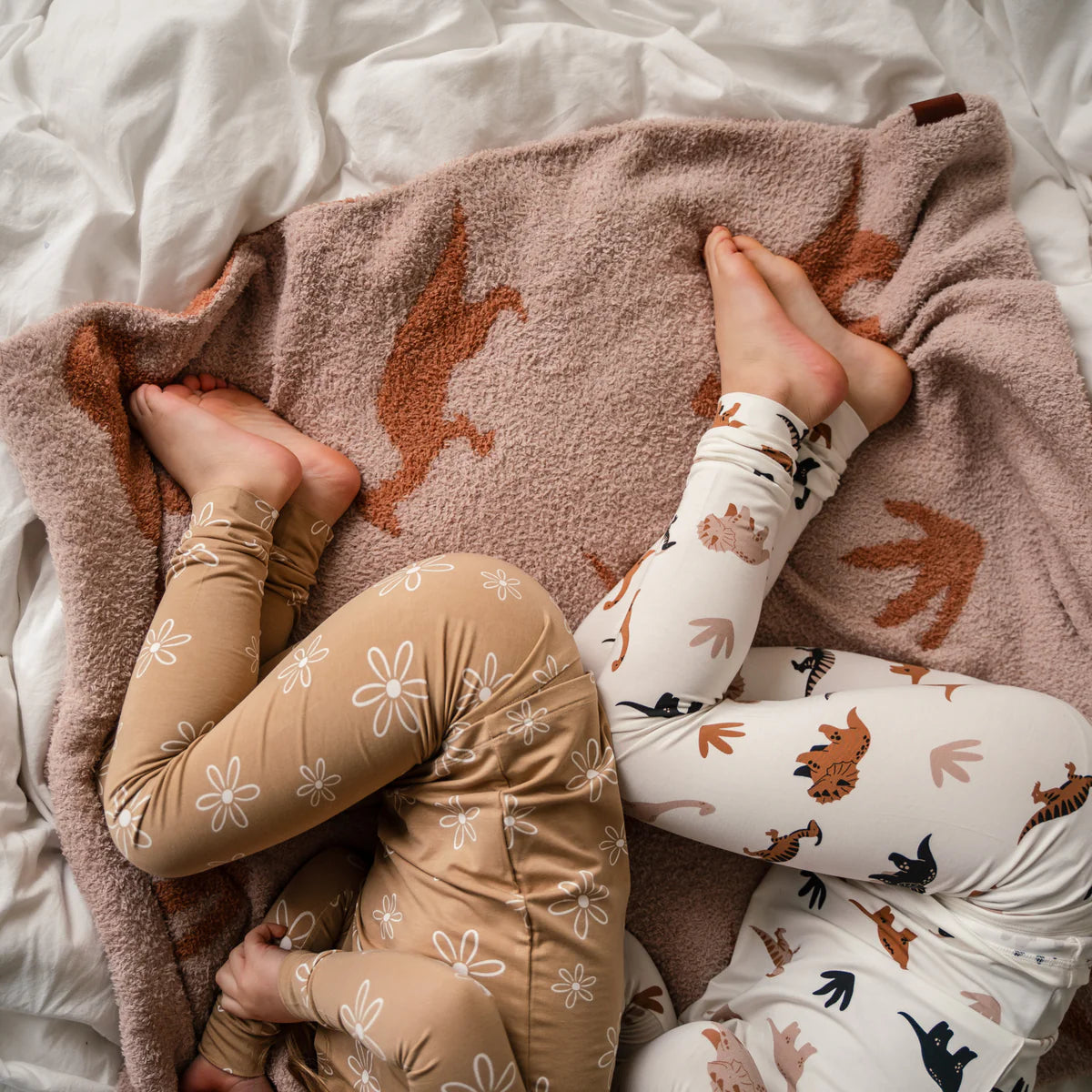 Desert Dinos Plush Blankets (30"X40")