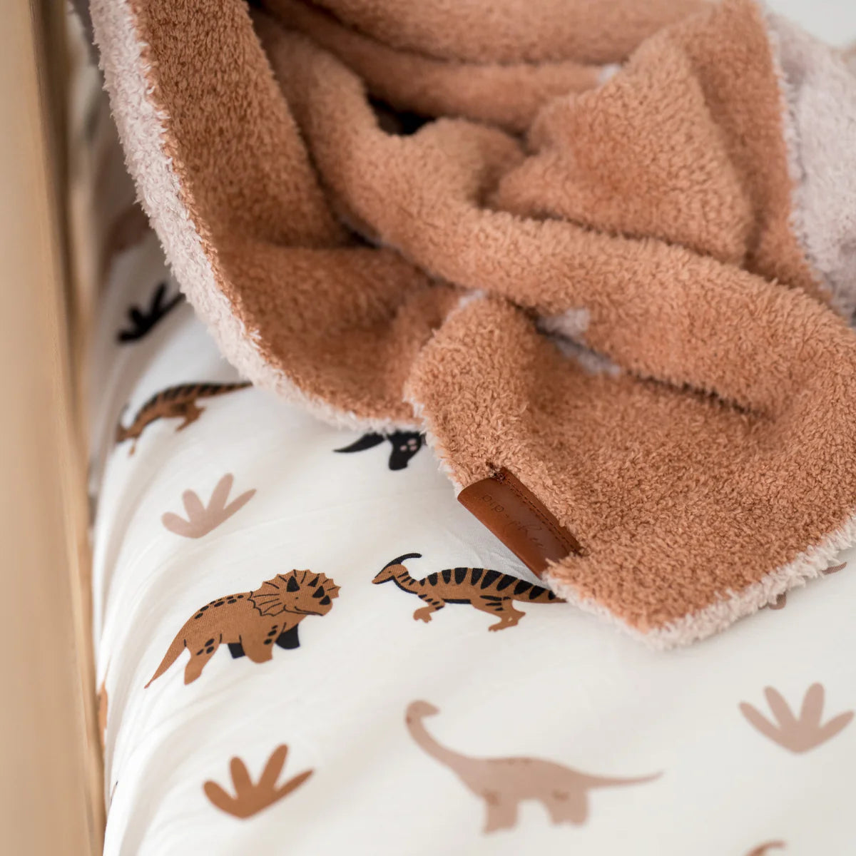 Desert Dinos Plush Blankets (30"X40")