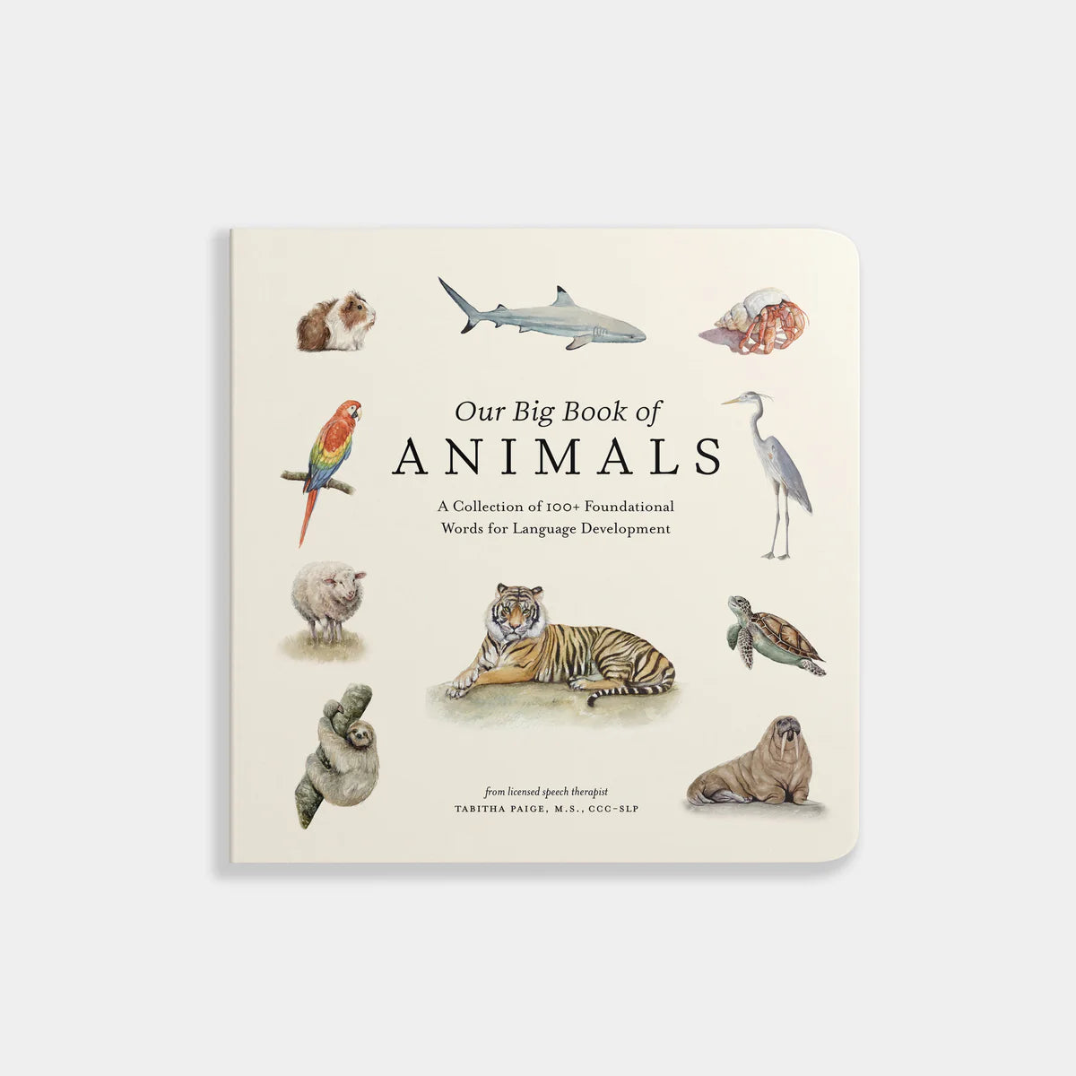Our Big Book of Animals