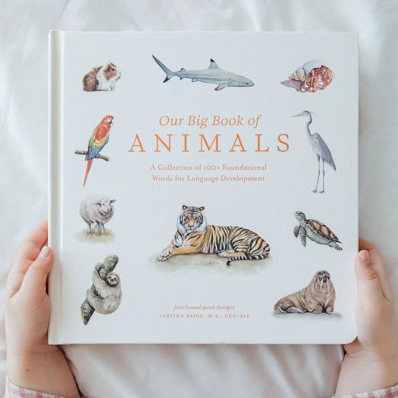 Our Big Book of Animals