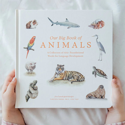 Our Big Book of Animals