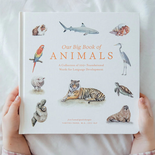 Our Big Book of Animals