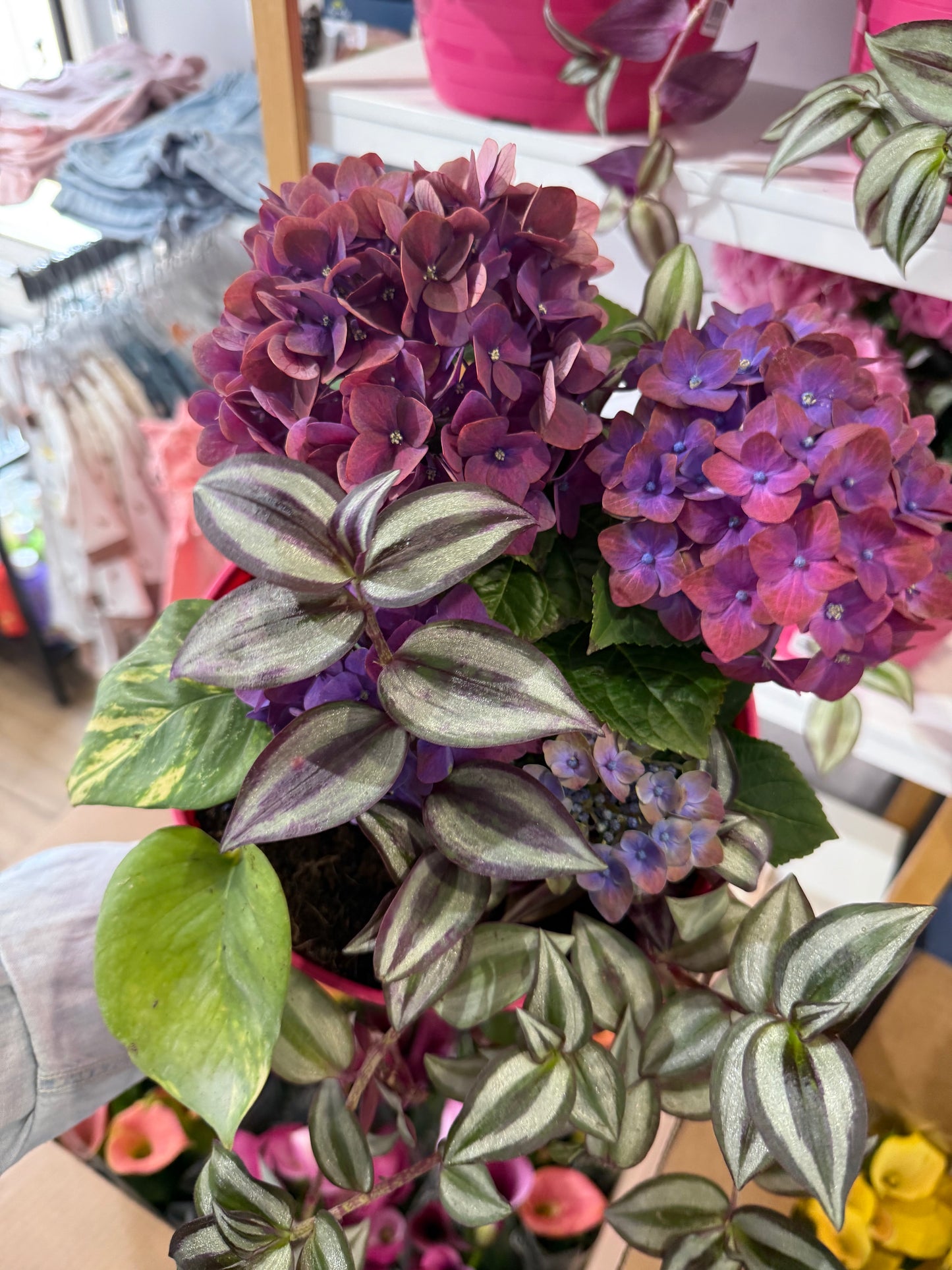Mixed Planter