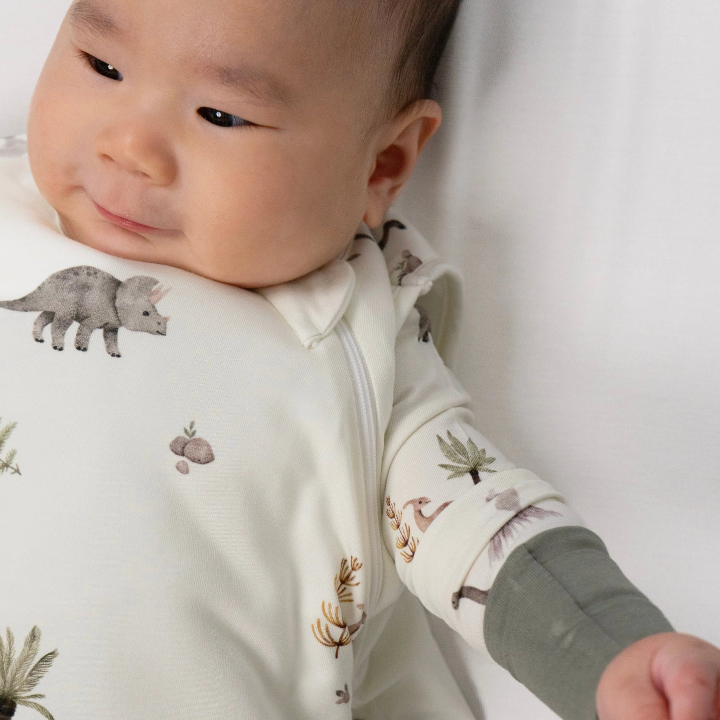 0.5 TOG Sleep Sack - Dinoland