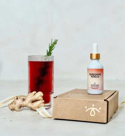 Cranberry Ginger Shroom Soda