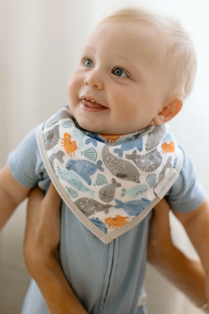 Bandana Bib Set - 2 Pack - Silly Seals