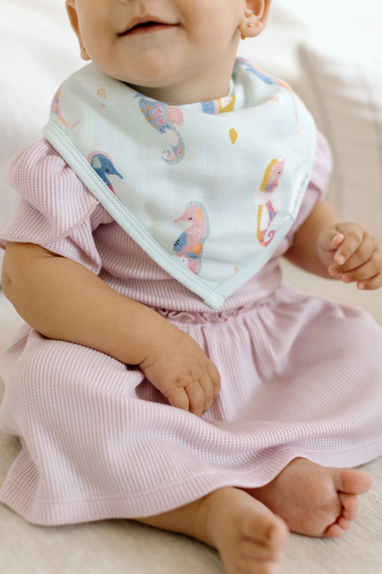 Bandana Bib Set - 2 Pack - Painterly Seahorses