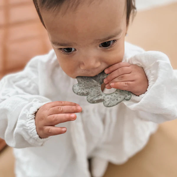 Cooling Nature Teether - Earth