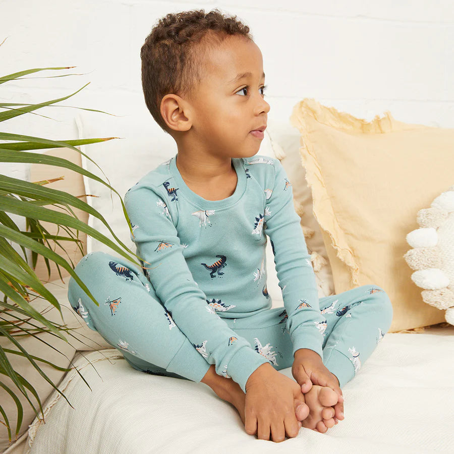 Dinosaur PJ Set