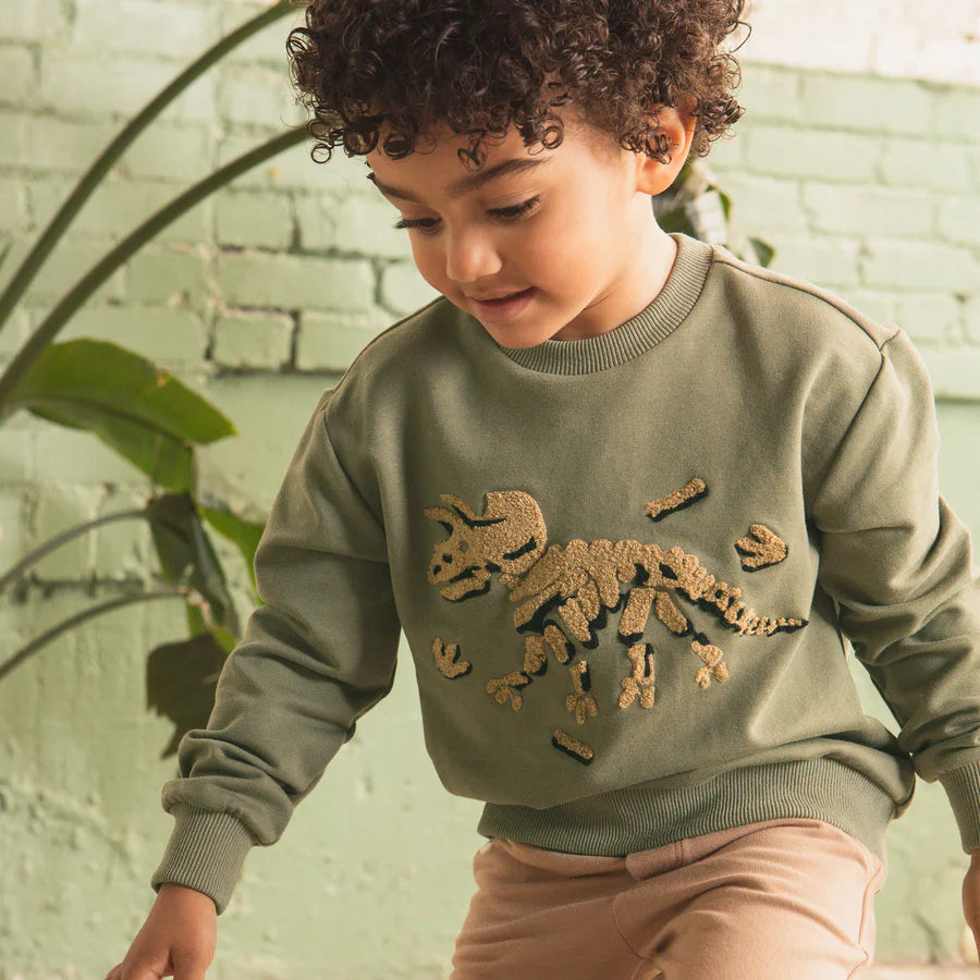 Kids Tri Fossil Chenille Embroidered Sweatshirt