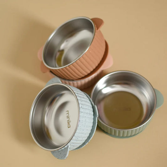 Stainless & silicone bowl