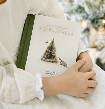 Our Little Adventure at Christmas