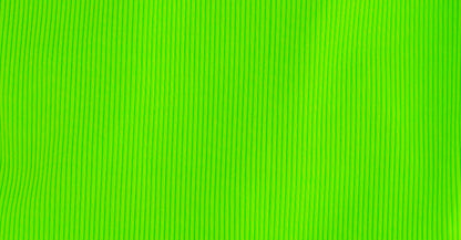 "Brights" Ribbed Green Gecko Rashguard