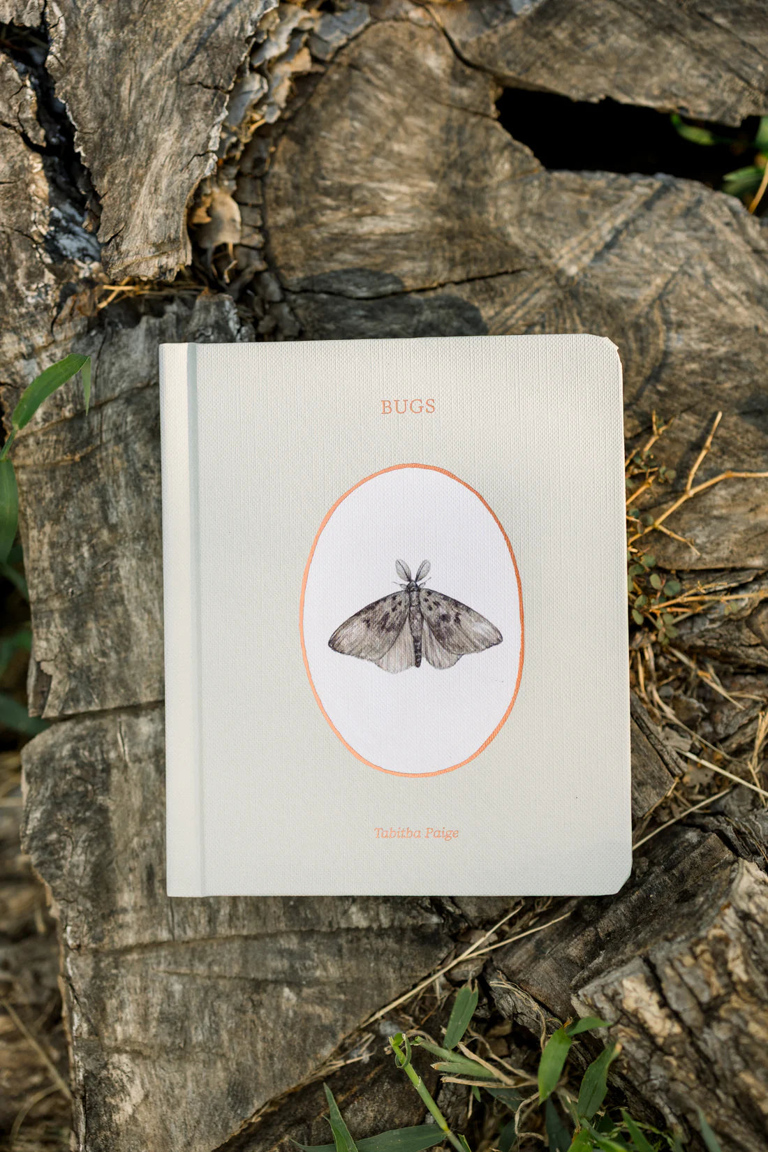 Our Little Library Volume 3