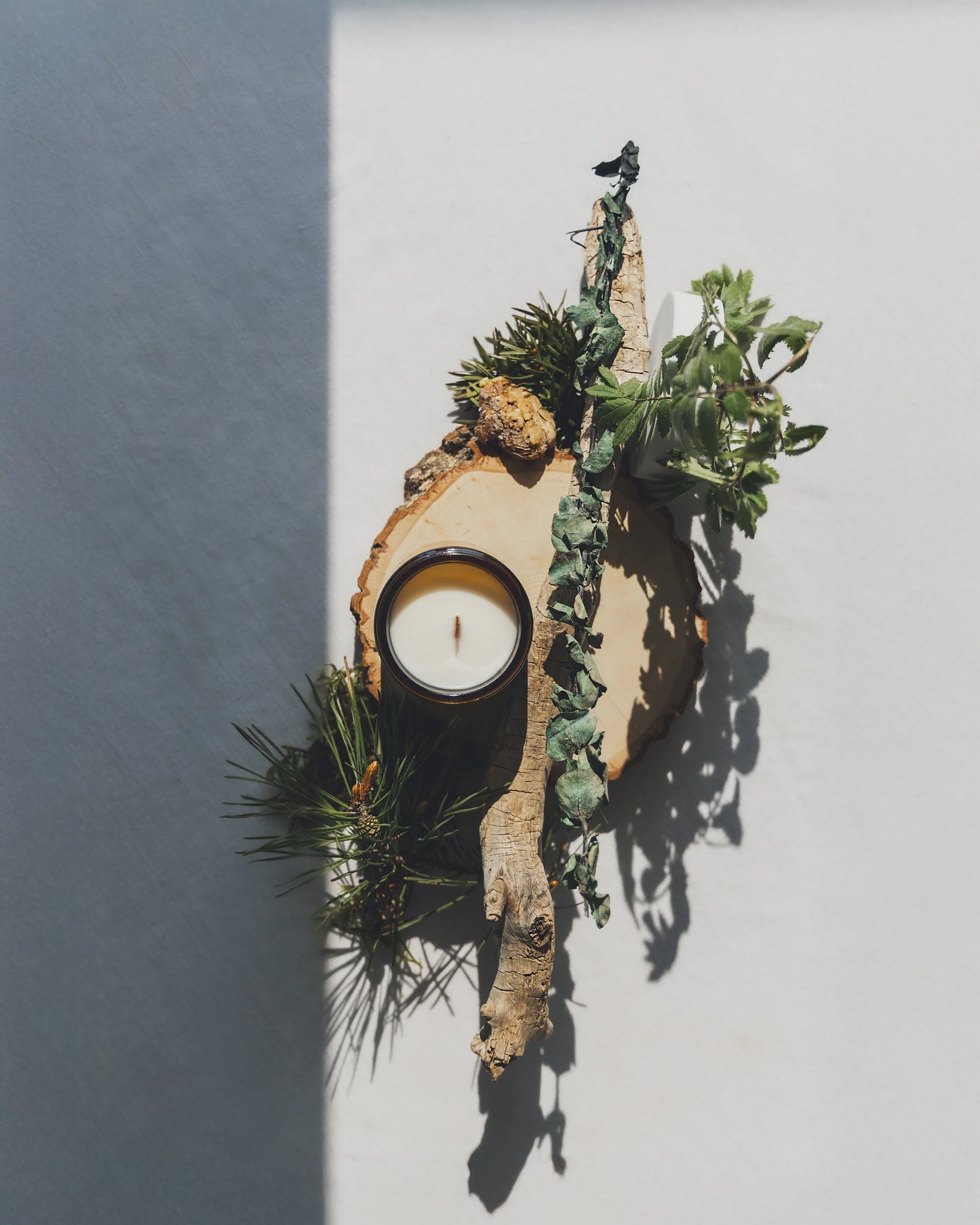 trail hike | wooden wick
