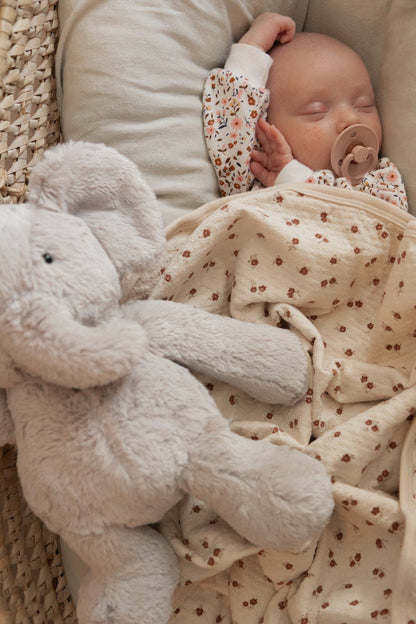 Olive the Grey Elephant