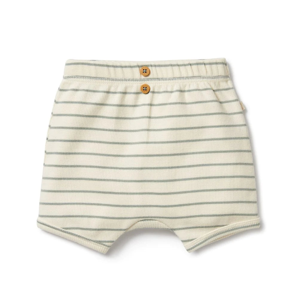 Petit Sage Organic Short