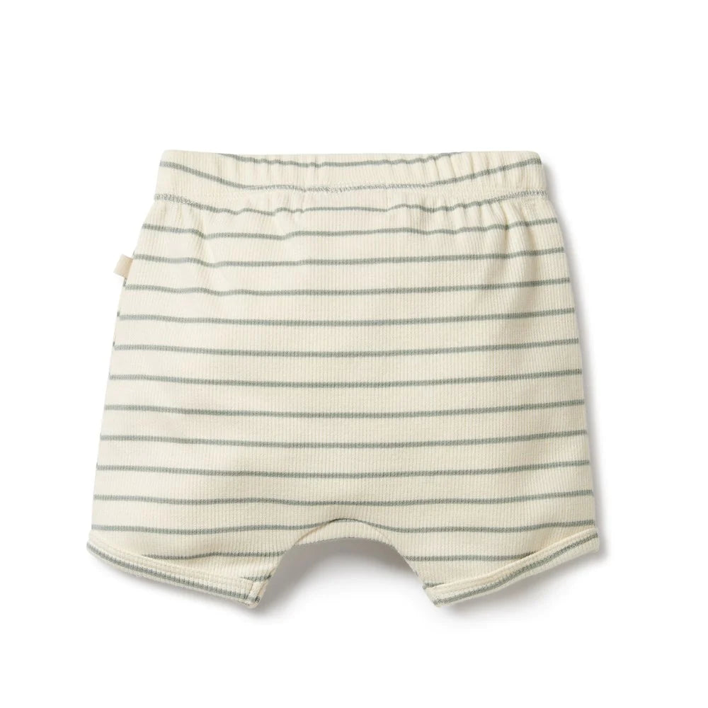 Petit Sage Organic Short