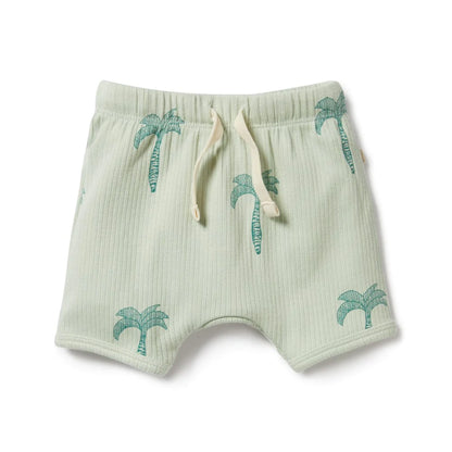 Palm Tree Organic Rib Shorts