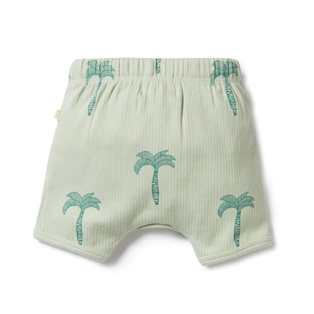 Palm Tree Organic Rib Shorts