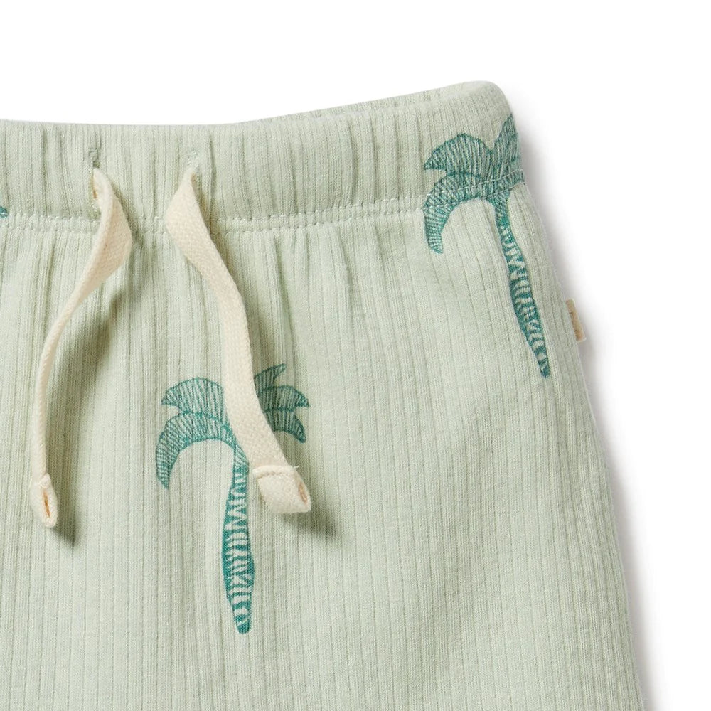 Palm Tree Organic Rib Shorts