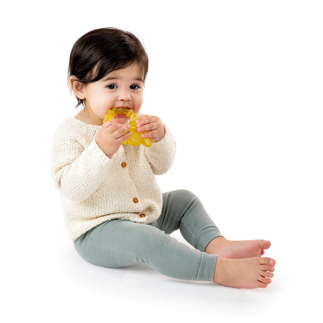 Cool Bite Water Teether - Bee