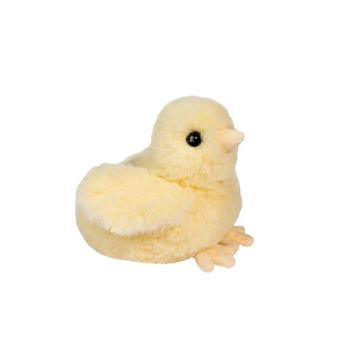 Assorted Chicks
