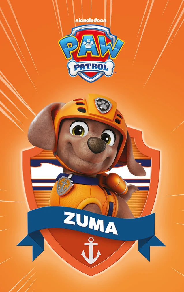 PAW Patrol Pup Pack (6 Cards)