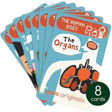 BrainBots: The Human Body (8 Cards)