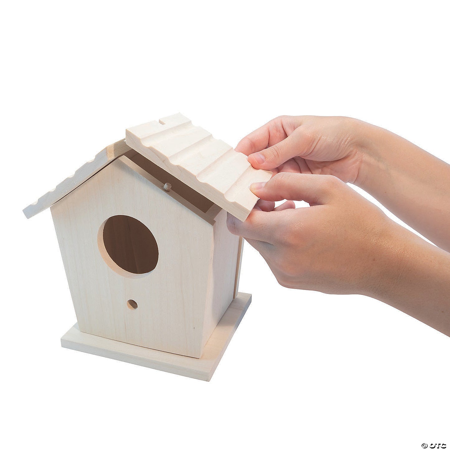 Make Your Own Birdhouse Craft