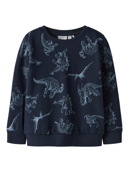 Navy Dino Sweatshirt
