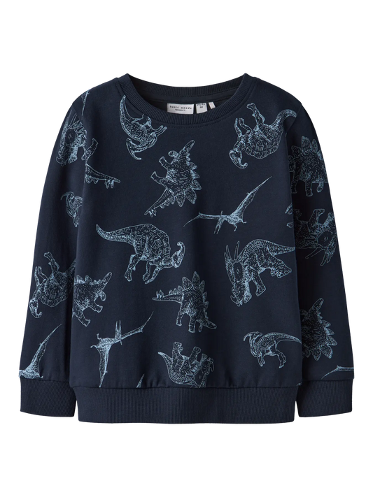 Navy Dino Sweatshirt