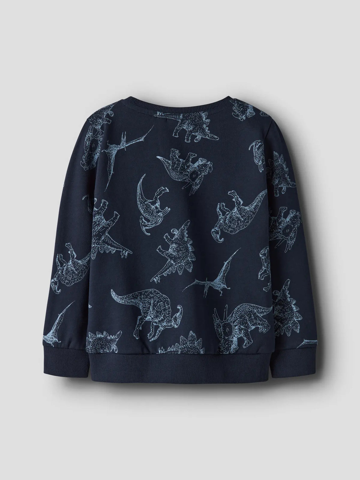 Navy Dino Sweatshirt