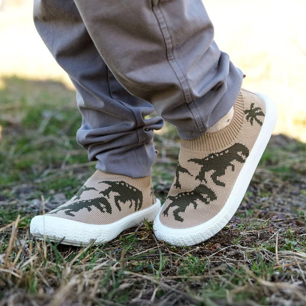 Kids Graphic Slip On Shoes | T-Rex
