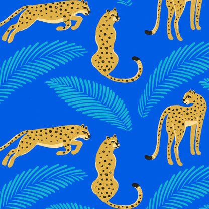 Shorty Sunsuit - One Cool Cat