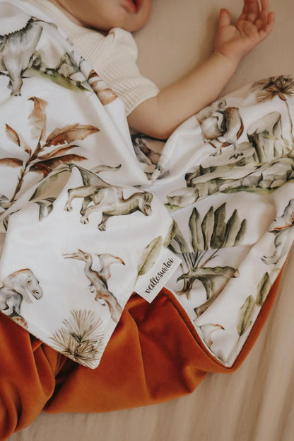 Dino Blanket