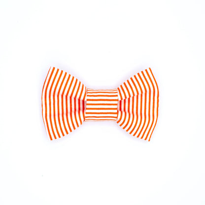 Bow Ties (Clip)