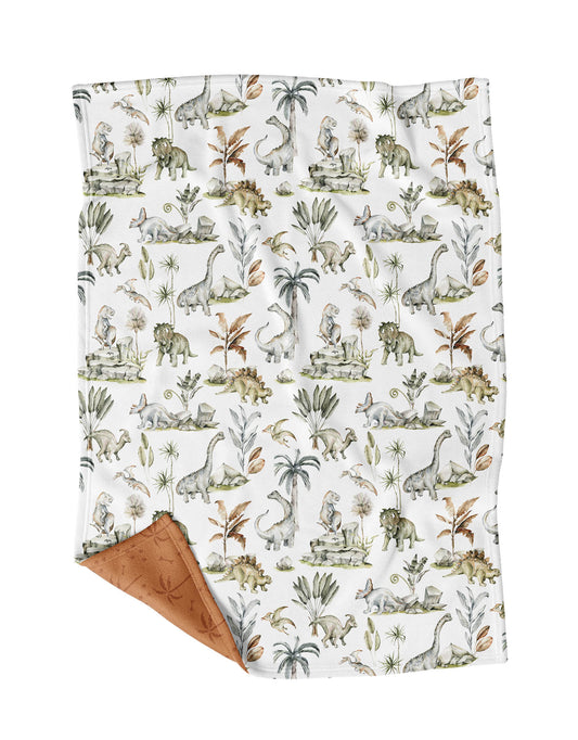 Dino Blanket