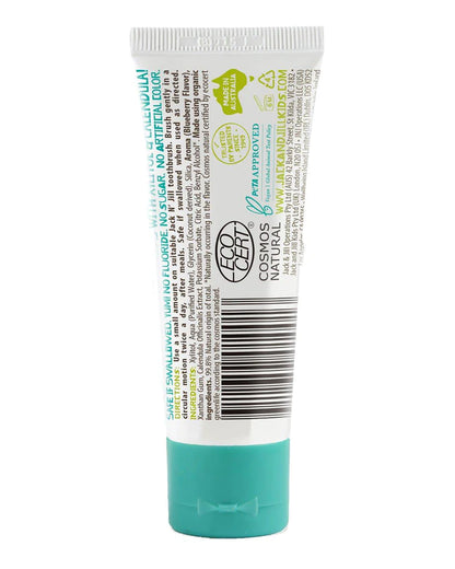 Natural Toothpaste Blueberry